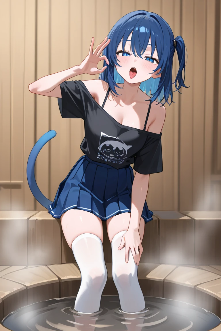 A anime cat girl. Shes standing up laying on a wall she has knee high net socks, black shoes, black hoodie, blue tail, Blue hair and blue cat ears, she has spiky wrist bracelets to. Her hoodie is sort of off revealing her left elbow and her bra strip. She has short black shorts on.