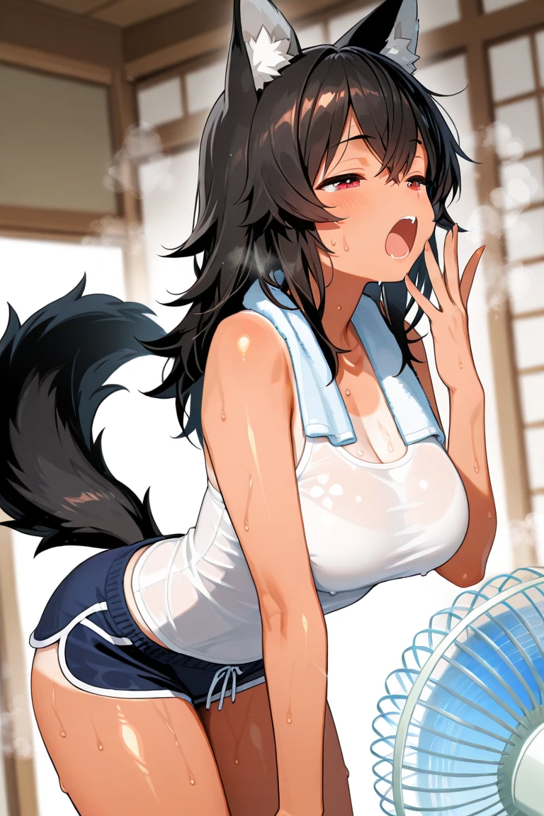 1 chica junkotvv pelo negro con flequillo, orejas de gato, ojos rojos, solo, de pie, correr \(especia y lobo\), wolf girl, cola de lobo, Orejas de lobo, campo de trigo, antecedentes detallados, evening 1 chica, golpes, hombros apretados, cuerpo, 15 year old girl, rubor, botas, senos, escote, Heart neckline,
boca cerrada, Cejas visibles en el cabello., Very small senos, pelo largo , mirando al espectador, sonriente, tenso, de pie, pantalones cortos de delfines, front viewer showing senos, Ultra High Definition |, imagen 4k,