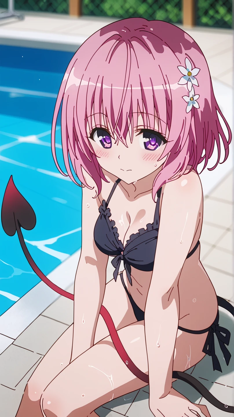 score_9, source_anime, anime coloring, momodevil, 1girl, solo, <lora:momodevilvXLPonyV1-000006:0.7>, To Love-ru, momo velia deviluke, bob cut, short hair, pink hair, purple eyes, medium breasts, bright colors, pastel, bright pink hair, hair flower, tail, demon tail, smile, happy, (pink lips:0.8), pink bikini, beach