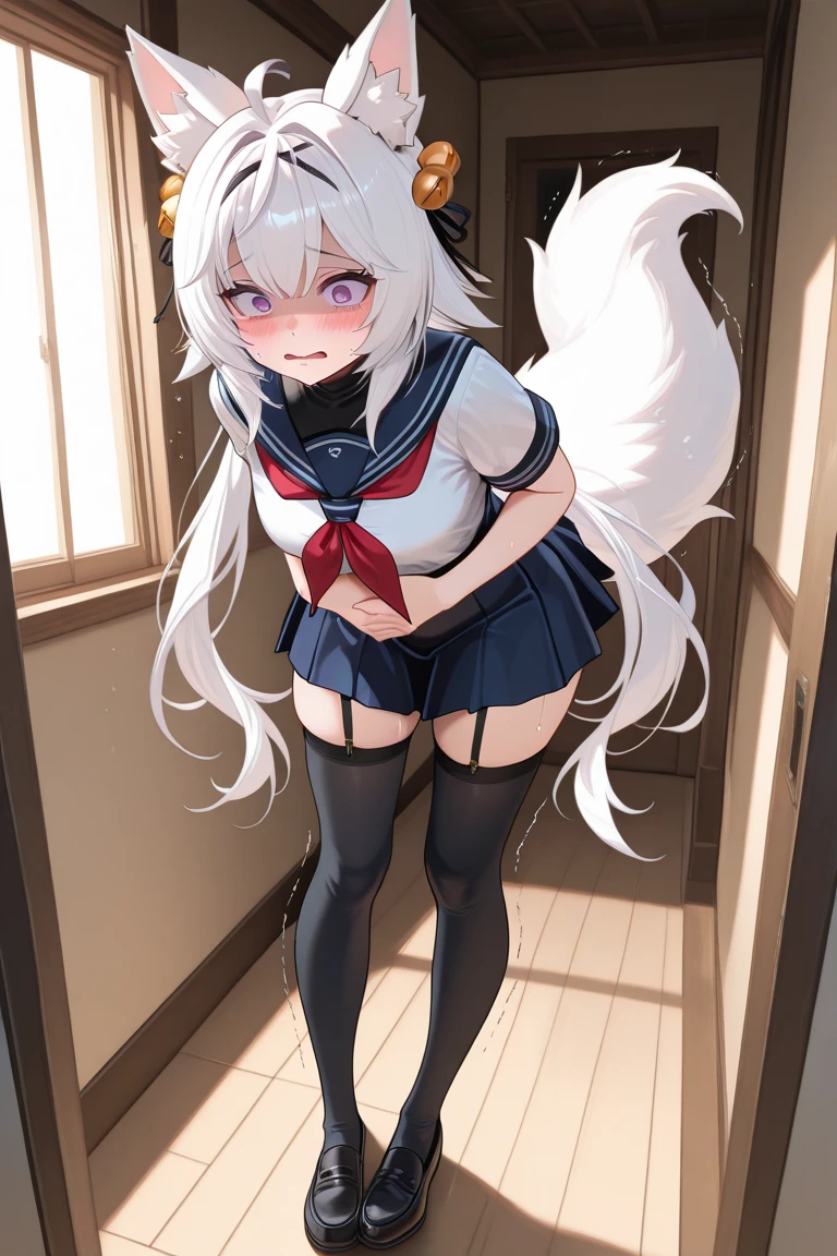 (nothing there), ((artwork)), ((best quality)), illustration, furry, cat, animal ears, tail, body hair, 1 girl, throw, torso, 1 girl, alone, long hair , gray hair, *//*, blue eyes, *//*, college student outfit, looking at viewer, smile,