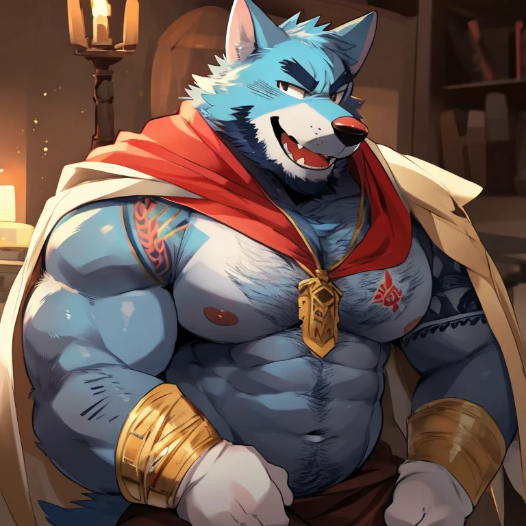 ((kumak71395, by takemoto arashi, by kamyuelo)), tavern, alcohol, wooden barrels, wood table, wood chair, sitting on chair, dimly lit tavern, wooden tables, clinking glasses, red loincloth, loincloth, smile, volga, husky, mammal, nordic sled dog, spitz, anthro, bandanna, front view, tail, fluffy, unconvincing armor, bulge, fur, kerchief, male, solo, blue eyes, looking at viewer, digital media (artwork), hi res, digital flat colors, sharp shadows, shaded, male focus, extreme detailed illustration, good anatomy, detailed RPG CG, masterpiece, best quality, detailed background