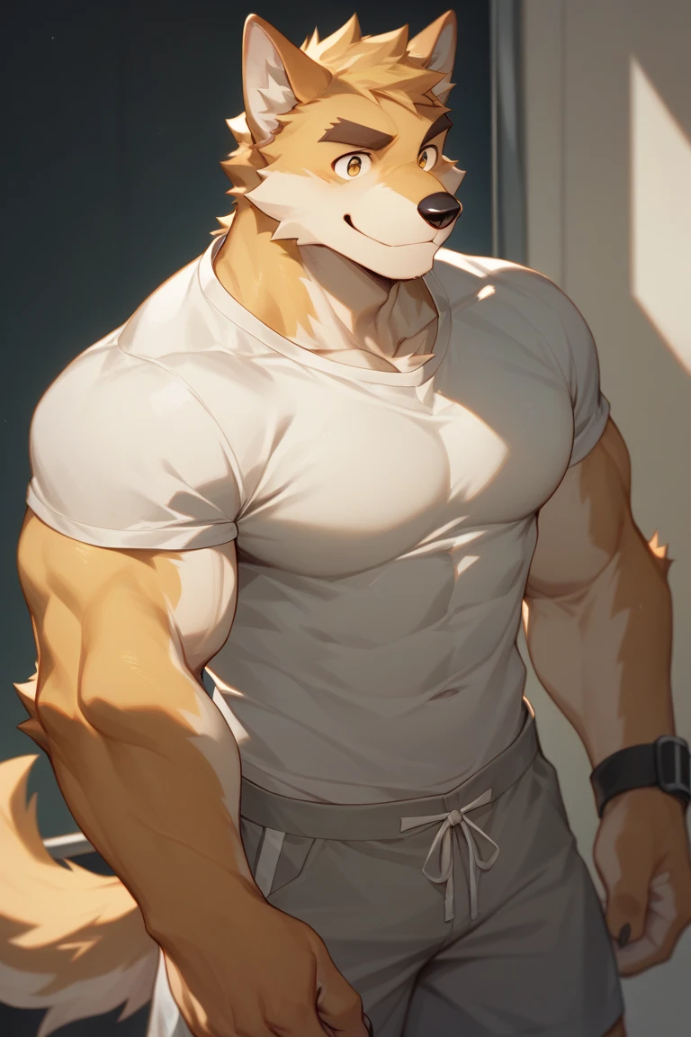 tmasterpiece， Best quality at best， nj5furry，shaggy male， 1boys， hairy pubic， malefocus， 独奏， Animal ear， formal， Wolf ears，Fit and fit，Kirin arm，Abs，chest muscle， Wolf boy， ssmile，
White fur，Yellow fur，Brown fur，two tone fur，黑The eye，Black shirt，Red hood，black   hoodie，Thick eyebrows，coda，Yellow ears，
（（full bodyesbian，）），
author：Chunni