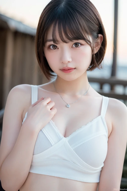 (masterpiece:1.3), high resolution, ultra detailed, extremely detailed CG unity 8k wallpaper, realistic, photo-realistic, RAW photo, beautiful detailed face, pale skin, realistic glistening skin, detailed cloth texture, detailed hair texture, Perfect body, Beautiful Face, accurate, Anatomically correct, Highly detailed face and skin texture, natural neck length, (beautiful hands),
BREAK,
Detailed eyes, symmetric eyes, Light Brown eyes, Double eyelids, Thin eyebrows, (Sexy Lips:1.3), (Glossy lips:1.4),
BREAK,
(Classy and Cute girl:1.3), ((wearing a sleeveless high neck halter neck white knitted dress:1.3)), (firm breast, nicely shaped breasts, slender figure:1.1), firm abs, (A face with waiting for a kiss:1.2), (smile:1.1), (blonde hair, Multicolor short hair, ((swept bangs:1.2)),
BREAK,
(standing under the cherry tree:1.2), sunset, (Focus on face:1.2), (Cowboy shot), looking at viewer, (from front:0.65),