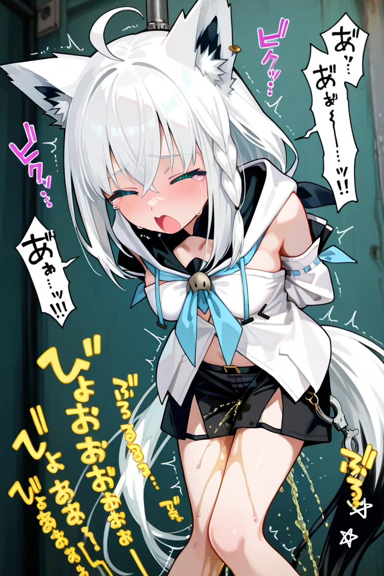 NSFW,masterpiece,Highest quality,High resolution,Super detailed,Shirakami Fubuki\(Hololive\),Gray Hair、One-sided braid、Ahoge、Earrings,Fox ears,Fox tail,Crop top shirt,Sleeveless,blush,(Disgusting face),(Ahegao),(Inside the train),(Seduce),(Middle-aged men),(Having sex),Insert your dick,Creampie,(Squirting),(rape),(rape),Leg spread,(Give in),(Falling into Pleasure),(tears)