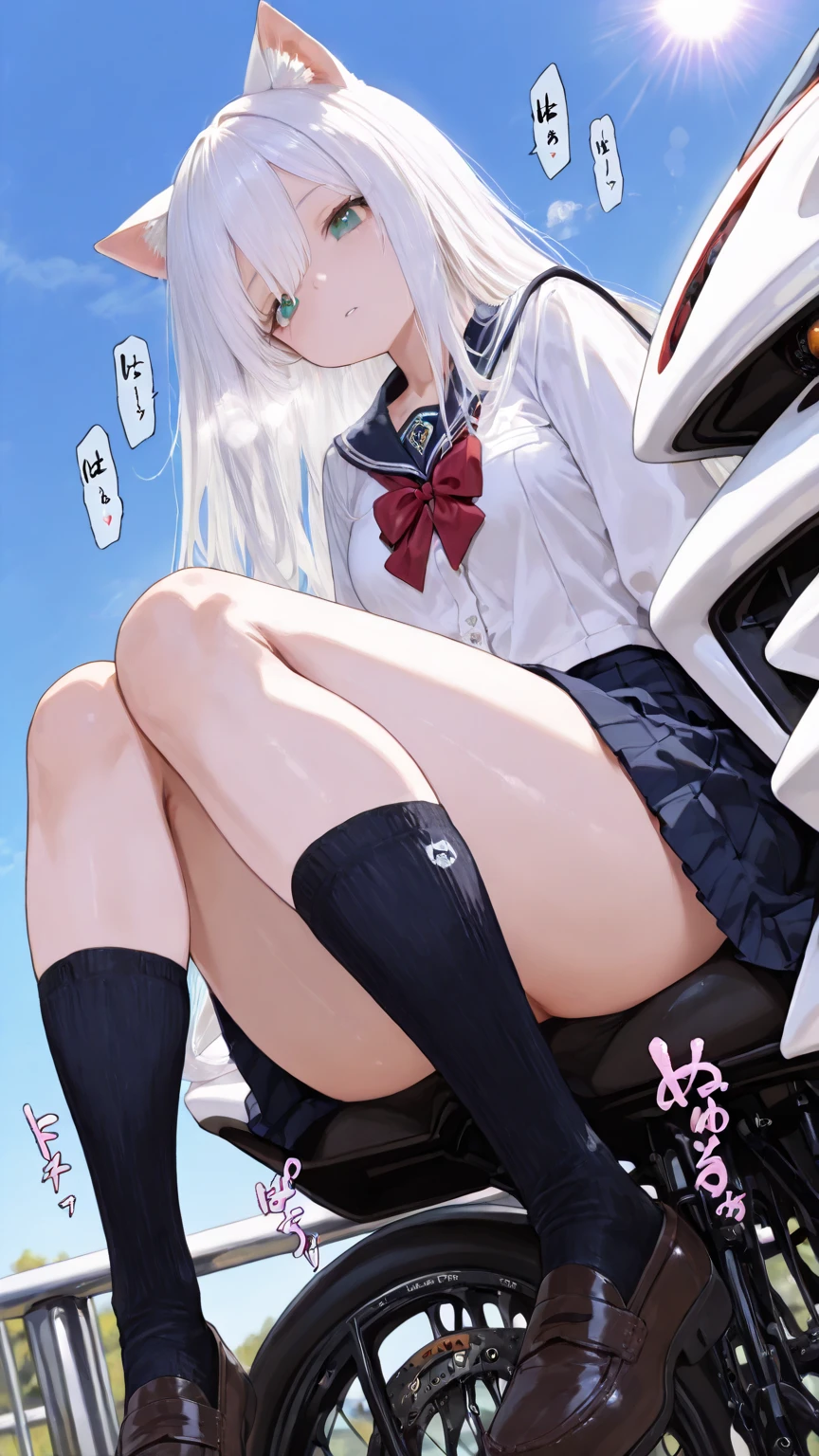 (realistic, photo realistic:1.2), ((highest quality)), move the center of gravity backwards, pretty embarrassing, kazami kazuki, silver hair, long hair, red eyes, , black bow, white kneehighs, white panties, (show panties:1.4), (Panty shot:1.3), (pull up the skirt:1.3), (lying down on ground:1.4), put the heel on the ground, spread legs, knees up, Attach your ass to the ground, beautiful face details, real human skin, gentle expression, Front view, angle from below, realistic, photorealistic, squat deep on school grounds, whole body, From before, from below