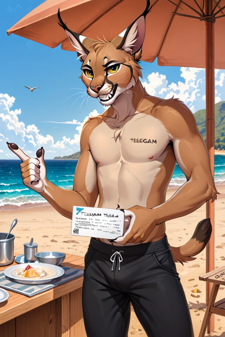 Seto (Tokyo After-School Summoners), Seto(Wandering Longing), Seth (it), Seto, Kazuma Koda, coyote, gold necklace, Gold jewelry, Ear piercing, Green Eye, Grey Body, white body, Brown Body, stripes, Striped body, Muscular men, High Quality, 8K, High image quality, NSFW Works, pixiv, colorful background, bright background, Business card, shadowy, Muscular, I'm laughing, blush, tempt, offer, A composition where the whole body is visible, The right ratio, the ocean, sunlights, Sexy, give a condom