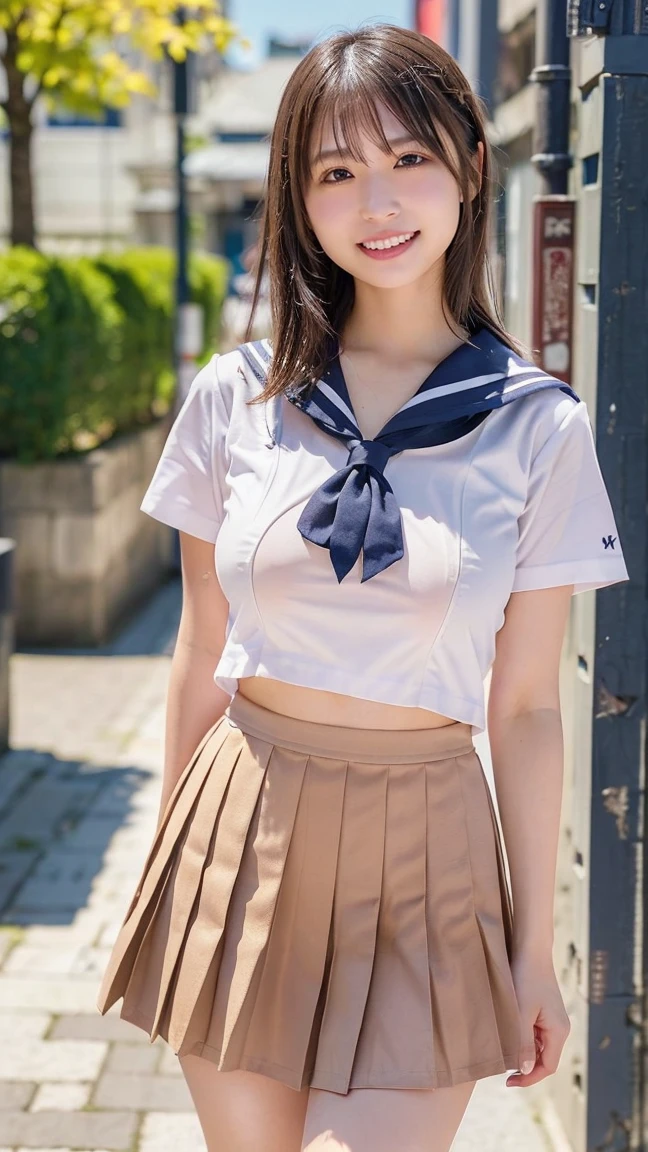 ((top-quality、8K、masterpiece:1.3))、foco nítido:1.2、Beautiful Women in Perfect Style:1.4、Slender Abs:1.2、((dark brown hair、Colossal tits:1.2))、(natural soft light、City Street:1.1)、Highly detailed facial and skin texture、A detailed eye、二重まぶた、Sexy schoolgirl in miniskirt sailor suit、A slight smil