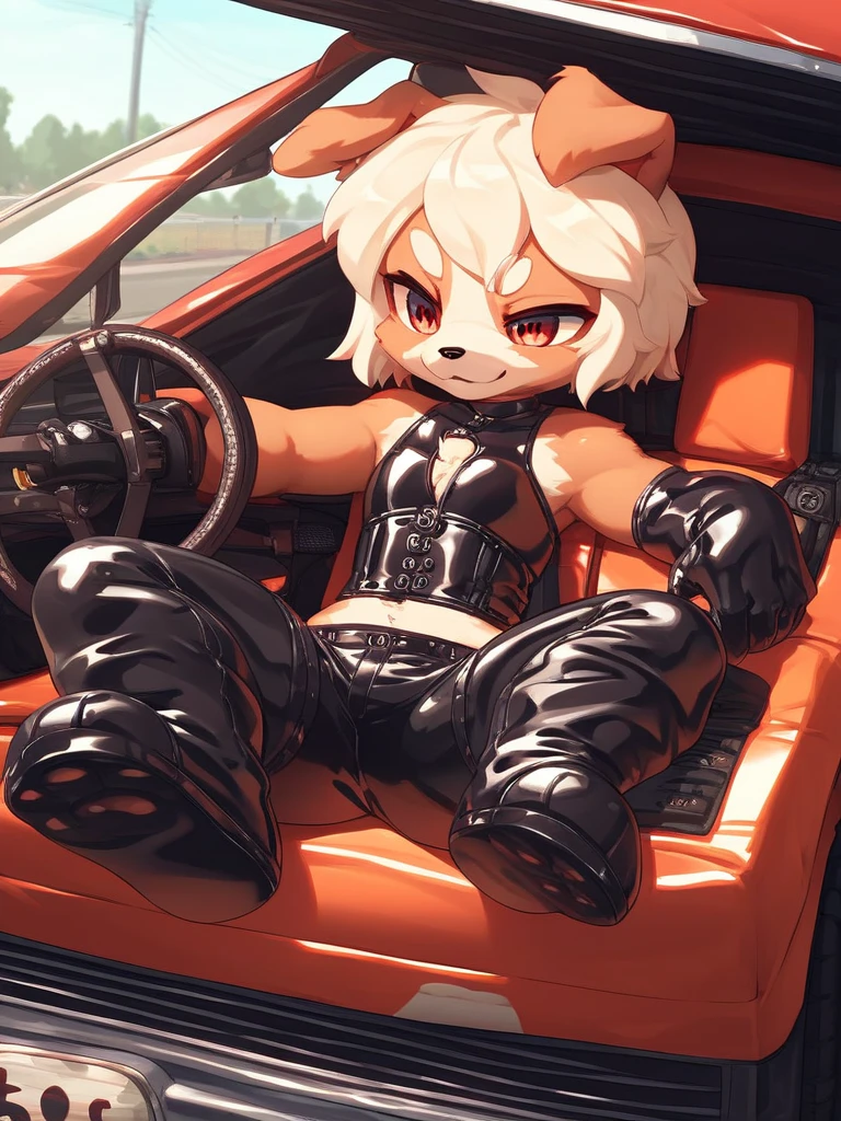 male, cat, Beastman, Animal hair, bra, bottomless, gloves, boots, juvenile,drive, Driving a car