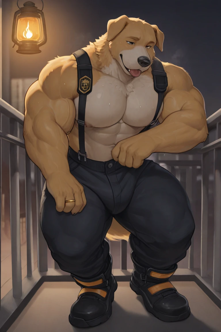 POV,top angle,sleep on stomach,lats,trapezius,butt lift,kemono, anthro (brown dog), male, (brown dog), big muscular, back, red body, white belly ,sweat, ((correct anatomy)), kneeling, big erect penis, big cock, show ass, open legs, 1 boy, solo, pain expression, canine tooth, hd, dark shadows, wide dynamic range, hdr, low light:1.2, front view, full body, canid, canine, canis, domesticbrown brown dog mammal, nordic sled brown dog, fullbody, full res, collar dog, smile, police hat, police office, open mouth, tongue out, nipple piercing, happy face, put hand behind head, hands up, cum, sperm , cum on helly, having sex, black sprot shoes, screaming,big abs, in the alley, morning, natural light, top-down perspective, masturbate, pinch the nipple, from high angle, looking up at viewer, begging, alleyway