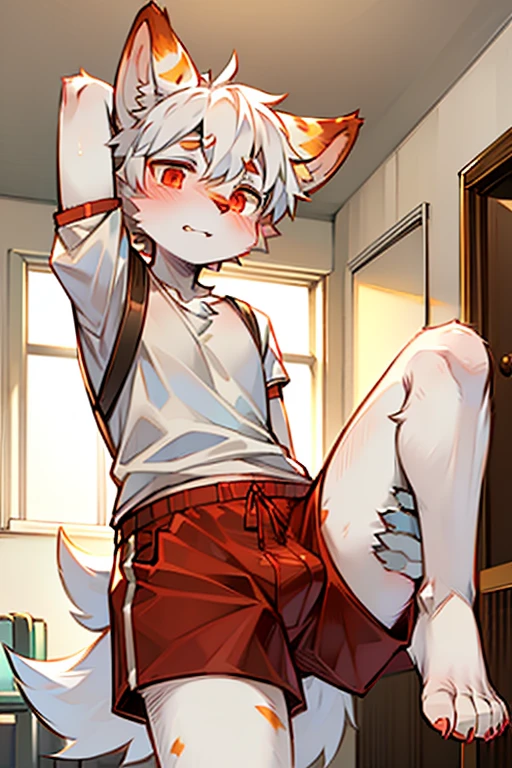 1 boy, Wolf,young people, topless,Plain white briefs,Squatting,Looking up at the camera,Put your feet in the center of the lens,blush