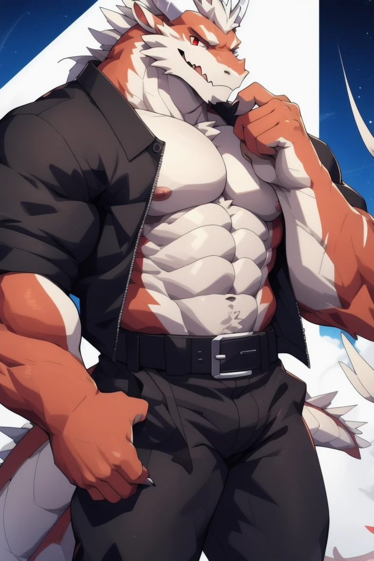 Alaskan Malamute dog black and white fur, muscular, with chest straps, furry, Blindfolded , shorts negros , with dog collar and leash, with big pecs, long fluffy tail