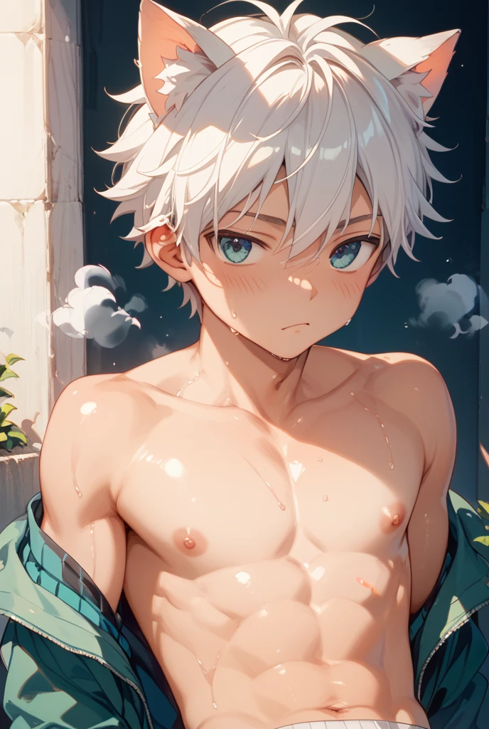 (absurdres, highres, ultra detailed), masterpiece, 15yo boy in towel around his waist, solo, handsome, short hair, white hair, killua ,blue eye, finely eye, detailed face, (forehead), topless, on bathtub, full body view, steam, from side, look at viewer, thick fog, in japan style, home muji style