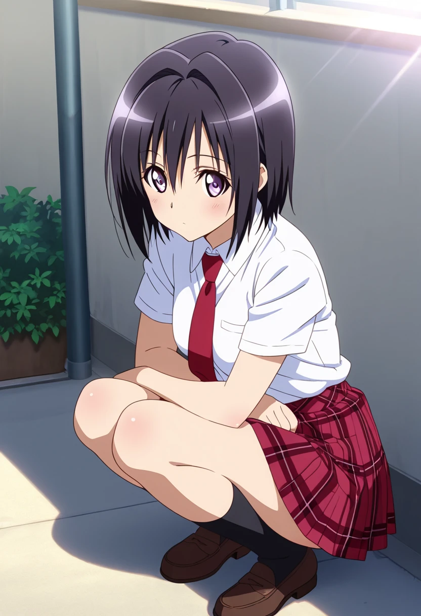 anime girl in a purple bra top sitting on a bed, an anime drawing by Jin Homura, pixiv, shin hanga, seductive anime girl, attractive anime girl, smooth anime cg art, anime best girl, cute anime girl, anime moe artstyle, anime visual of a cute girl, oppai, beautiful alluring anime teen, pretty anime girl, (Raw photography:1.2)、(Photorealsitic:1.4)、(masterpiece:1.3)、(top-quality:1.4)、超A high resolution、(A detailed eye)、(detailed facial features)、(detailed clothes features)、nffsw、8K分辨率、solofocus、bangss、skin tightening、(shinny skin)、(Slender girl)
(Extreme Detail)、dim room、Ruins、
Virtual Girl - Aim、Medium-breasted wavy hair、Shorthair、A dark-haired、Black eye、
1girl in,
Crystal Pendant、String Panty Brapua、
Tie with a rope、embarrassed from、cute little、I'm about to cry、hang、Adult Models、raise one leg high、hang、Smaller chest、big butts、
