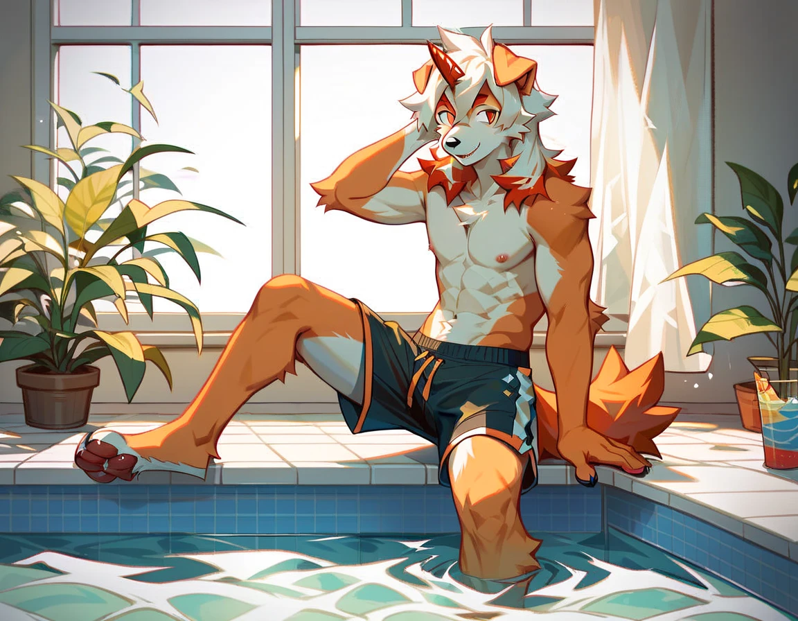 fox boy,Ocean,Red collar,Large high rise apartment building,  8K resolution,high resolution,最high resolution,Sandbox,