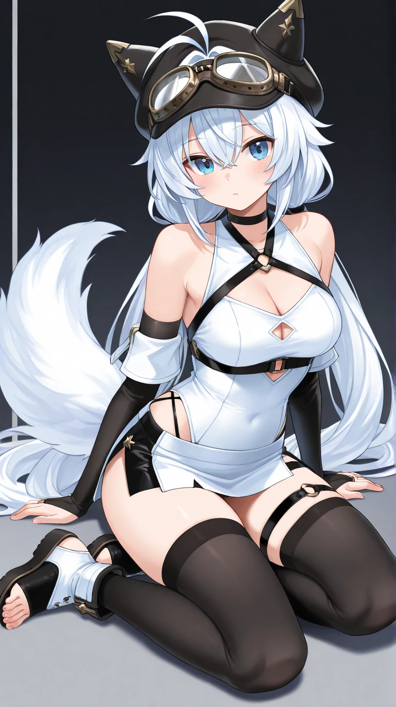 White transparent pantyhose，whaite hair，Raised sexy，As graceful as a swan，slender girl，Blue lace lingerie，Cat ears，a cat tail，Evil smiled
