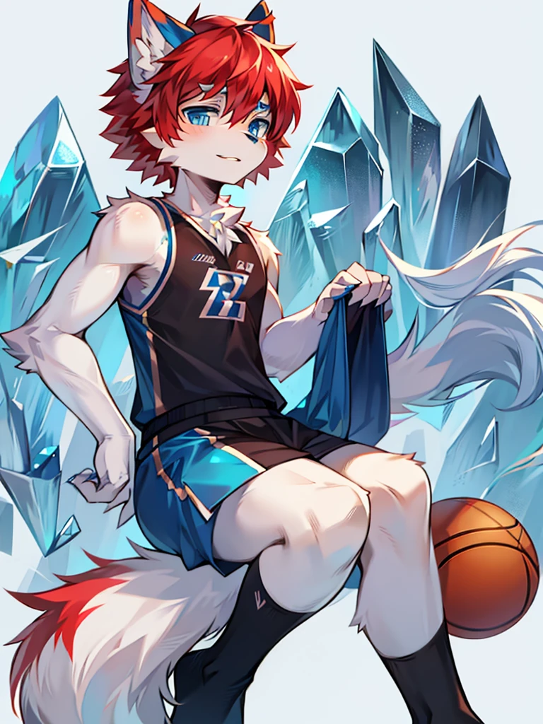 Furry,Wolf boy,White fur,crystal blue eyes,Single fluffy tail,greyt hair,short detailed hair,wearing basketball outfit,style of anime