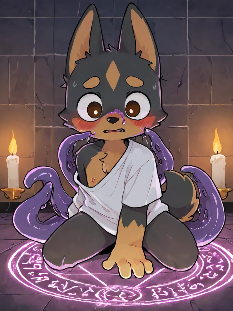 masterpiece, high quality portraits, 3D realistic CG, 16k, dramatic lighting, intricate details, dough, hairy的猫male, hairy, black cat, (teenager), Only men, early morning,Greeting the rising sun, suzerain,purple eyes,When using magic, (beachtop),in a trance,Award-winning, best quality, high resolution,short hair,clothed,pure black,Communicate with animals,Domineering and cute,