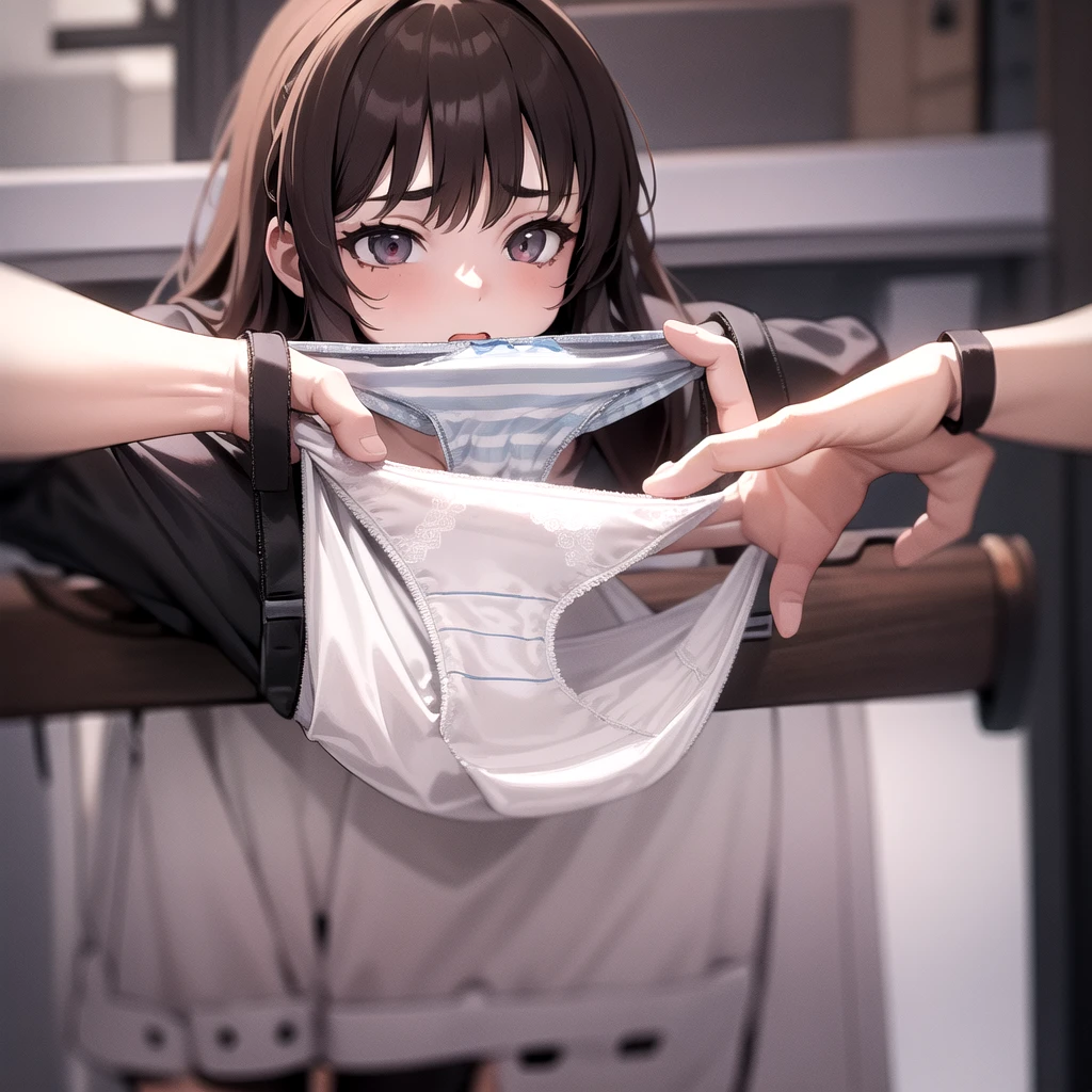 <lora:presenting_panties_v0.3:1>
1girl, presenting panties,, masterpiece, best quality, highly detailed