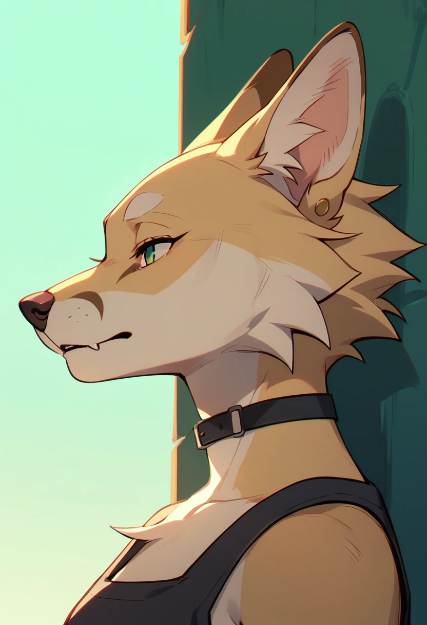 explicit furry artwork by majmajor,sheath anatomy,tuft,very fluffy,werecanid,collar, sheath shot