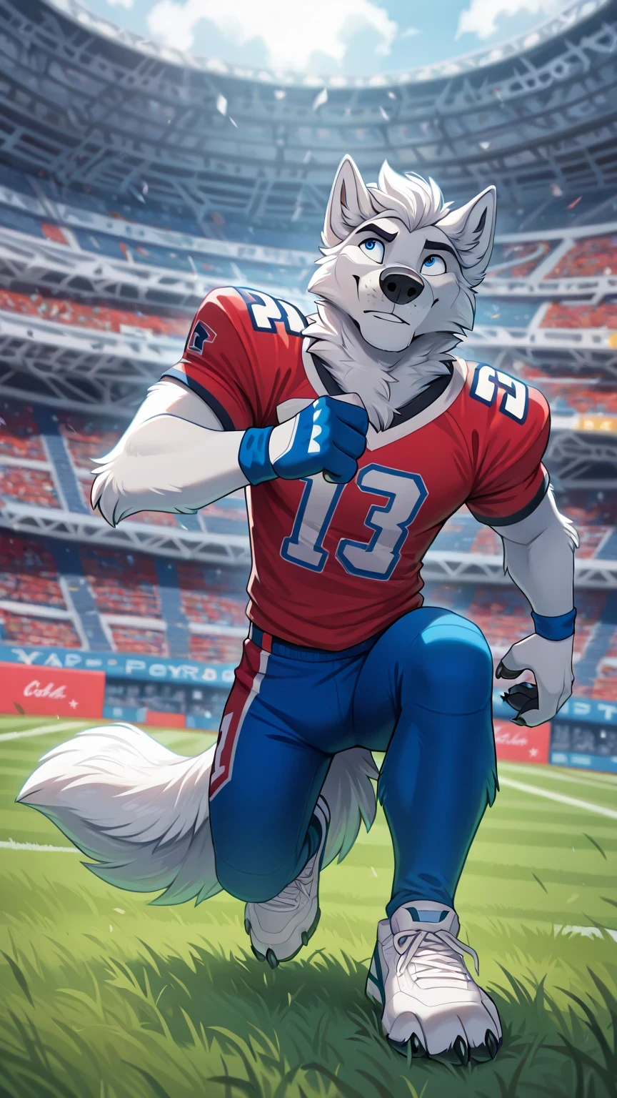 depth of field, american football stadium background, anthropomorphic eye blud , Reflections, full body, antropomorfico, Adult Wolf,without humans, cola, Close-up, , by ango76 , Masterpiece, better quality, incredible quality, very aesthetic, newest, anthropoid, mammal, a boy, Clothes, Alone, byry, byry Macho, macho focuS, blue eyes, postura bipeda in front, Male Wolf,male white wolf furry, by, action posture, claws, animal ears, high resolution, blue color american football jersey, lycra american football tights white, white sneakers, wolf tail, in front