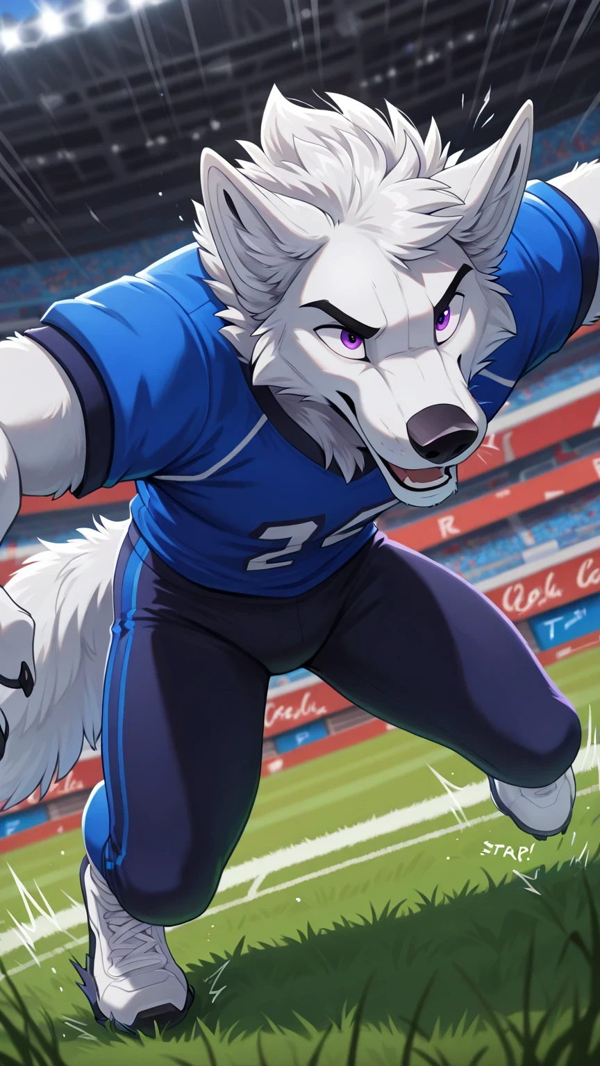 depth of field, american football stadium background, eye Reflections, Reflections, dutch angle, anthropoid, adult, byry, without humans, cola, sound effect, Close-up, sound effect, lines of motion, swimsuit by ango76 , Masterpiece, better quality, incredible quality, very aesthetic, absurdres, newest, anthropoid, mammal, a boy, Clothes, Alone, byry, byry Macho, macho focuS, purple eyes,male white wolf furry,, by, action posture, claws, animal ears, high resolution, blue color american football jersey, lycra american football tights white, white sneakers, wolf tail, in front