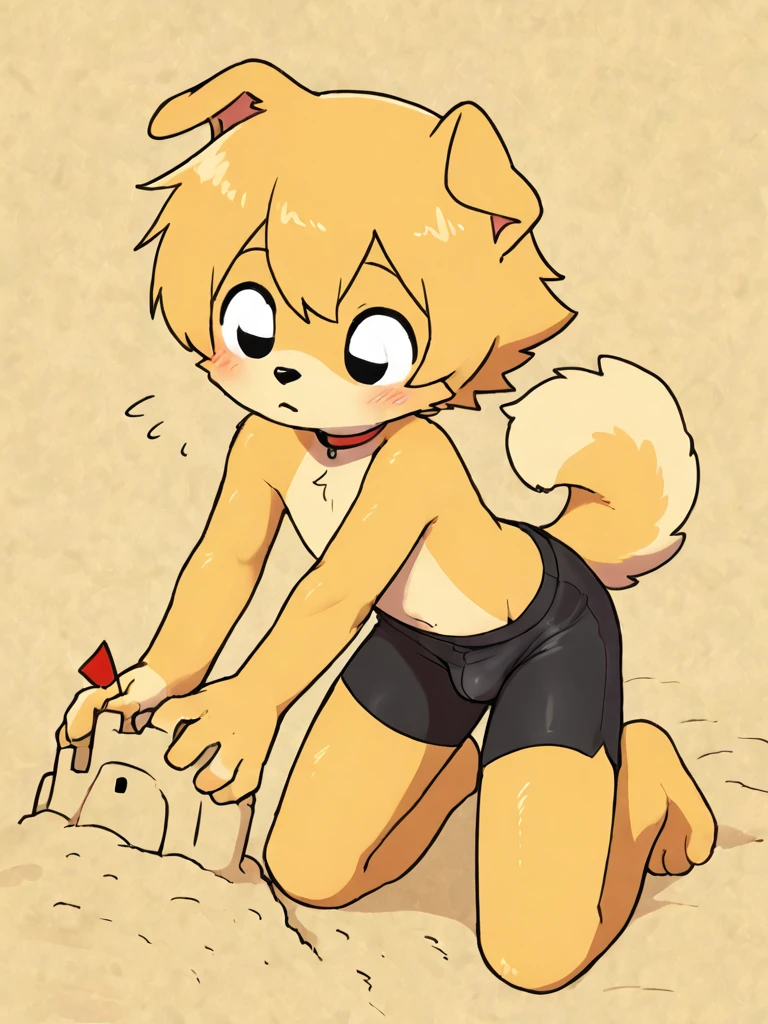 By bebebebebe, by lostgoose, by goonie-san, solo, male, canine, domestic dog, golden retriever, on all fours, smirking, ((blonde hair, short hair, wavy hair, hair covering eyes)), tomgue out, on the beach, crawling on the beach, tail raised, (((lingerie)))