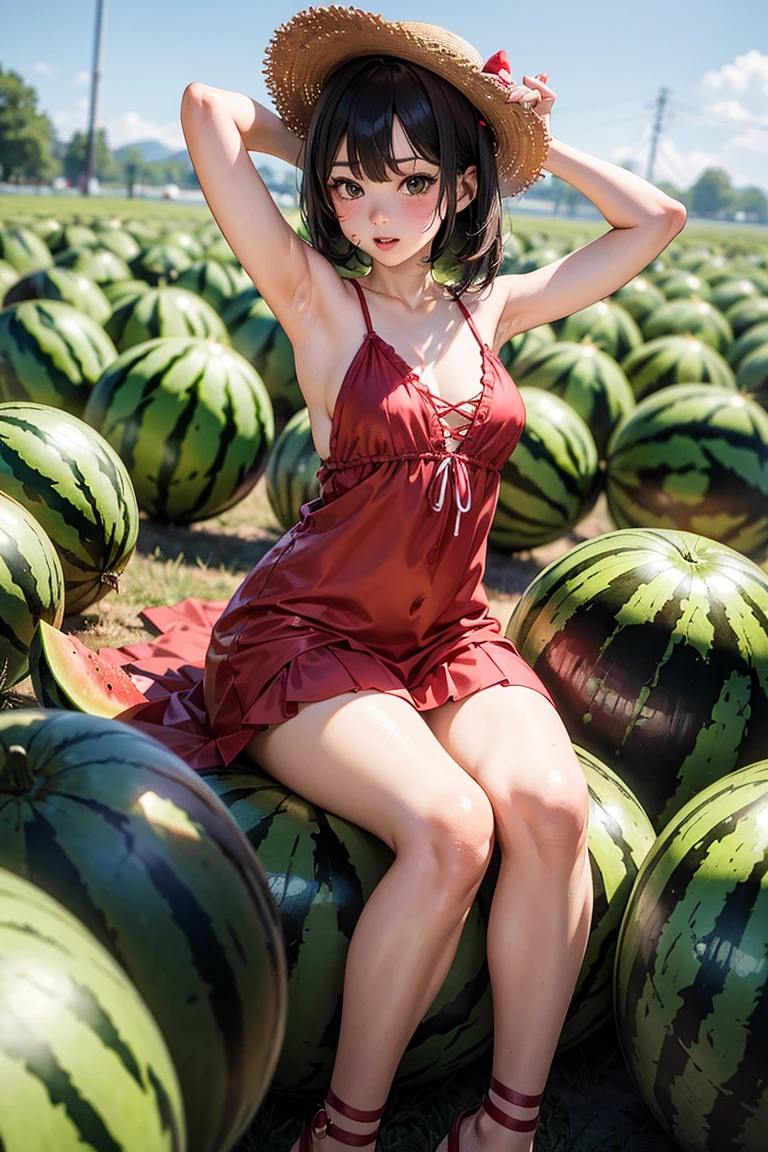 masterpiece、top-quality、realisitic、Photorealsitic、Watermelon-themed paradise、Teenage Japan woman in cute costume with watermelon motif、Watermelon Accessories、Eating watermelon、Surrounded by huge slices of lots of watermelon、Watermelon farm、Bright décor、A smile、Joy、dynamic ungle、动态照明