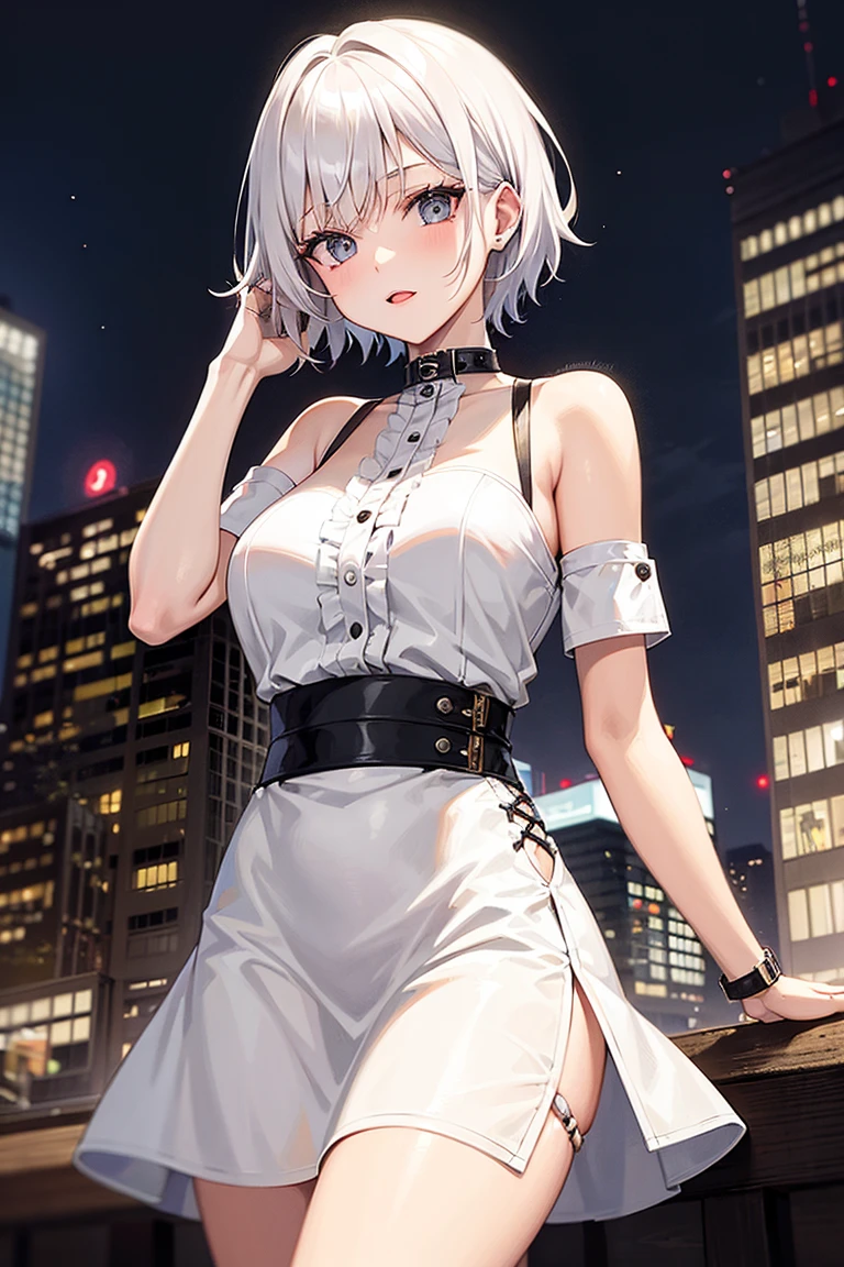 (Highest quality, High resolution, Very detailed), Silver Hair, Super short hair, Reddish brown eyes, silver maxi dress, lace thong, Large Breasts, 24th generation, Beautiful woman, mature, quiet, Calm, A small smile, city, blue sky,