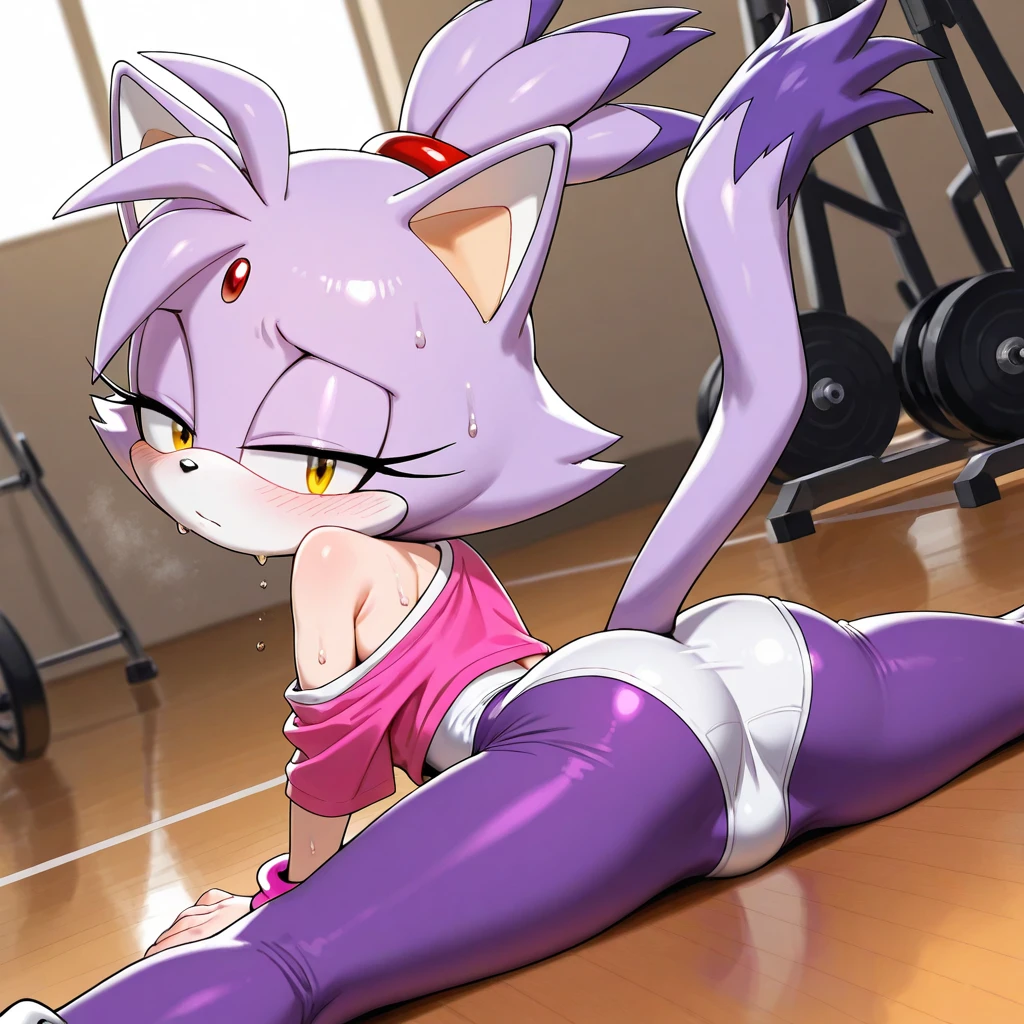 Blaze the Cat (Sonic the Hedgehog), (sonic series), masterpiece, high quality, high resolution, 1girl, 1futa, female, solo, (detailed beautiful faces), (perfect anatomy), none wearing clothes, nudes, huge breasts, nipples, huge nipples, abs, huge abs, huge muscles, flexing the biceps muscles, testicle, huge testicle, penis, huge penis, long huge penis, huge penis, huge penis, erection, full body, view at viewers, armpits, happy expression, blushing, cumming, semen, cums on breasts, cums on faces, testicle, tongue, sweaty, wet, armpits, musk clouds, gym background