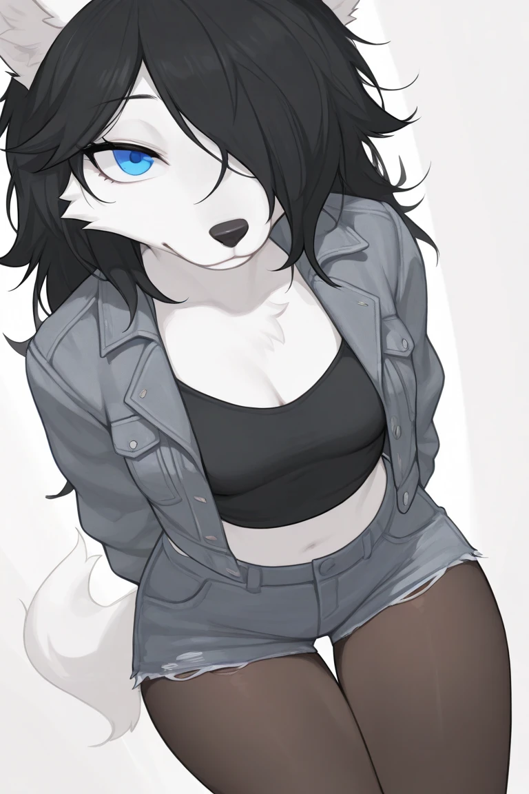 anthropomorphic dog, female, white fur, short black hair, blue colored eyes, simple background, black sweatshirt, Half-open sweatshirt zipper, bra strap showing, short black shorts, black fishnet tights