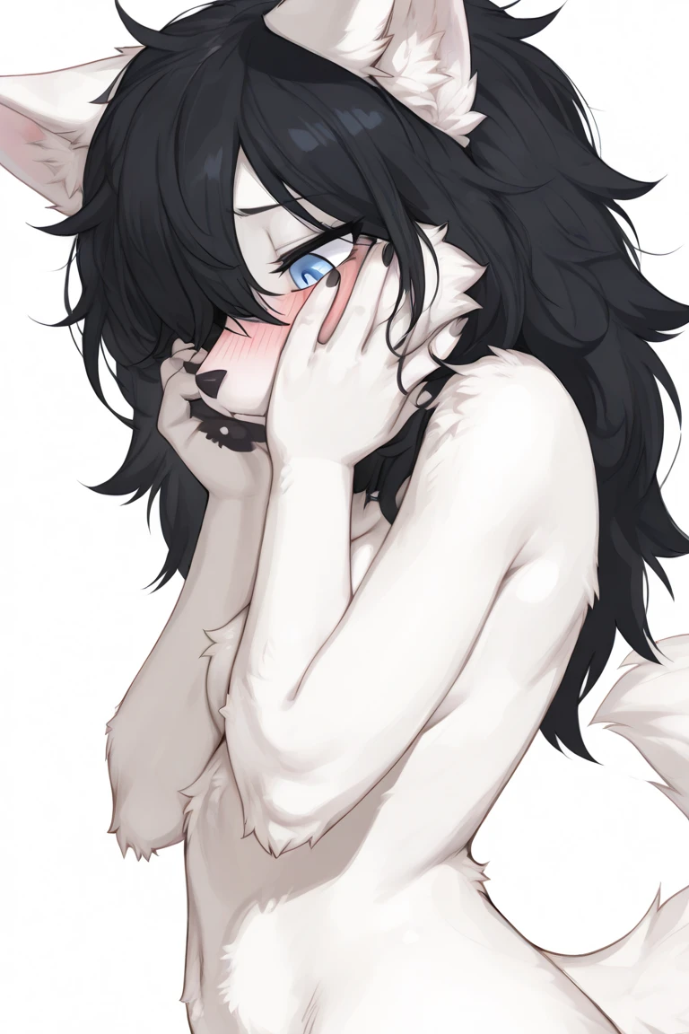 Score_9, kemono style, (black wolf ear tips):2, blend in with character