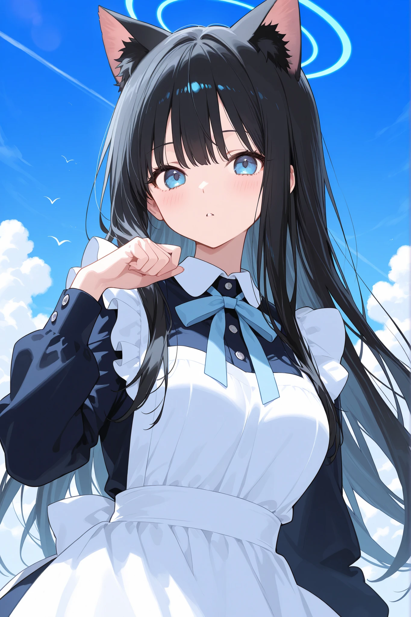 long black hair、Cat ears、 sky blue eyes