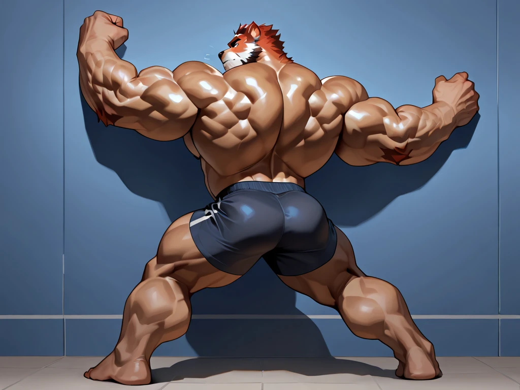 A muscular, handsome anthro horse with a heavy build and grey fur, muscular, bodybuilder, tall and muscular, tight panties, big