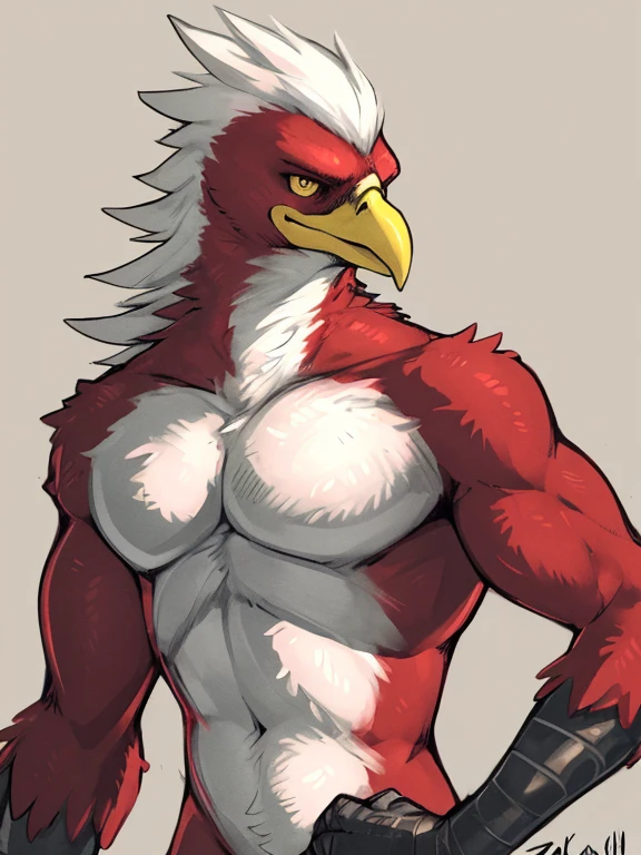 Solo, Furry, Anthro, Woodpecker, Male, E621, Standing, Muscular, Hands behind back, Wearing underwear, Plain background, Front view, Light skin, By bebebebebe