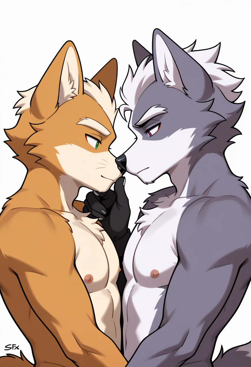 Slim yet well built male anthro wolf with snow white and grey bushy fur and grey hair and a left blue eye and right golden eye . Shirtless but wearing shorts. Serious facial expression