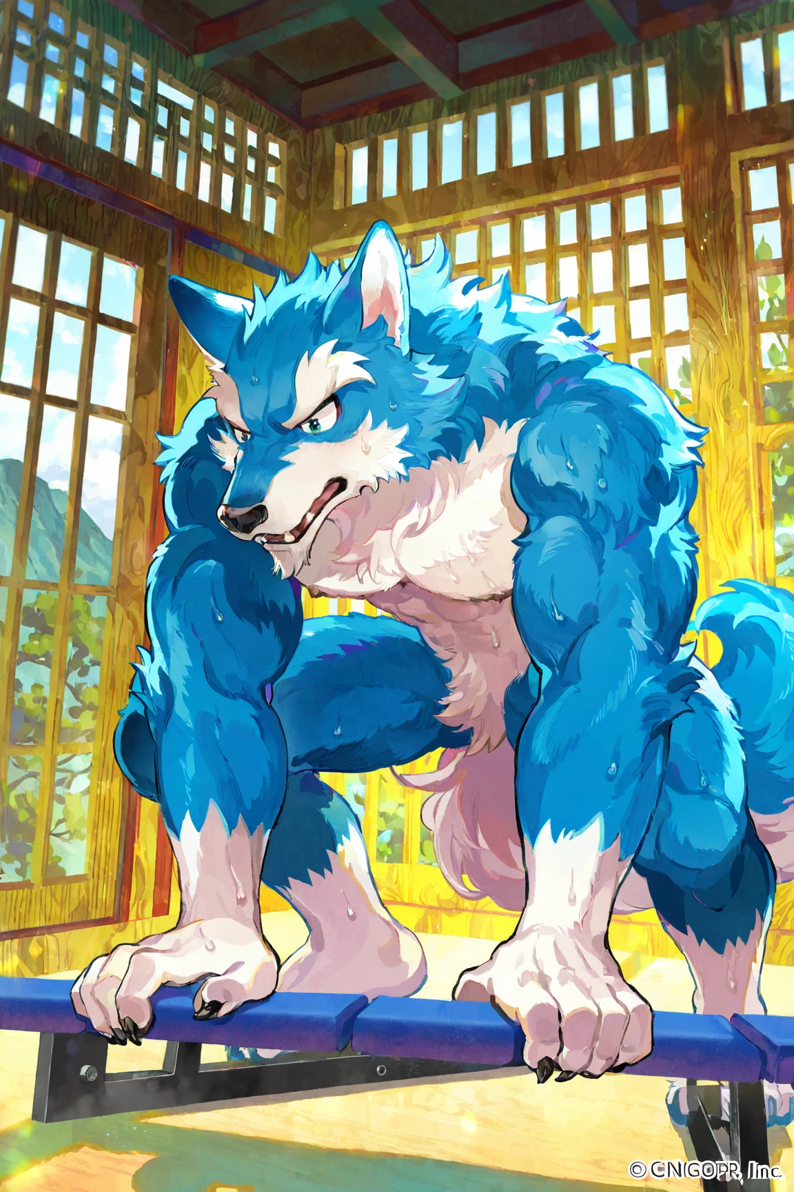 Wolf, By Meesh, Big Pecs, Fluffy Tail, 1boy, abs, bara, bare pectorals, black hair, blue pants, cropped legs, dougi, japanese clothes, large pectorals, male focus, martial arts belt, mature male, muscular, muscular male, navel, navel hair, nipples, open clothes, pants, pectorals, short hair, sideburns, solo, stomach, sweat, thick eyebrows