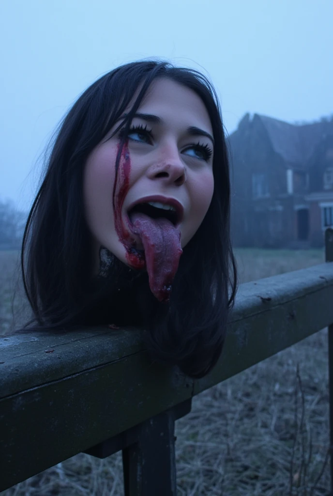 nsfw, vagina, (((One pretty woman、Primary school students、Ahegao、Completely naked、Crouching、Short pigtails、Small breasts、Flat Chest、Spreading her legs、Nosebleeding、Blood from the mouth、Blood flowing from the neck、Decapitated、Behead、Wide-open eyes、Neck cross section、Severed Head、Headless、Inside the pussy)))、Outdoor Roads
