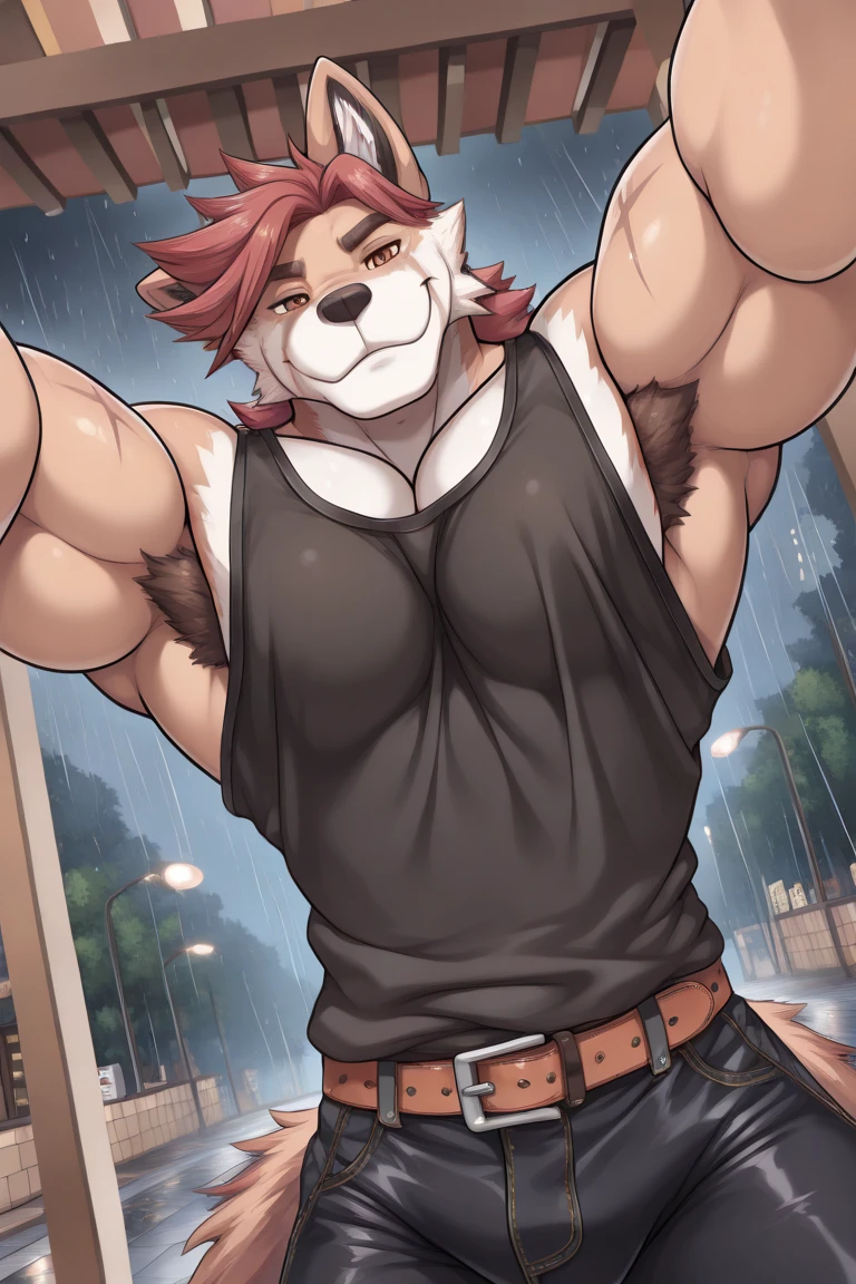 (mejor calidad, Of the highest quality, Arte digital, Intrincado, high resolution, 8K, anthropomorphic, peludo, subido_en_e621:1.4), por jijis-waifus,(por pgm300:0.5),(por totesfleisch8:0.5),gimnasia,flexionando,solo,Adulto,muscular male,male,canguro,breeches,black underwear, bulto,canguro tail, Brown eyes,
