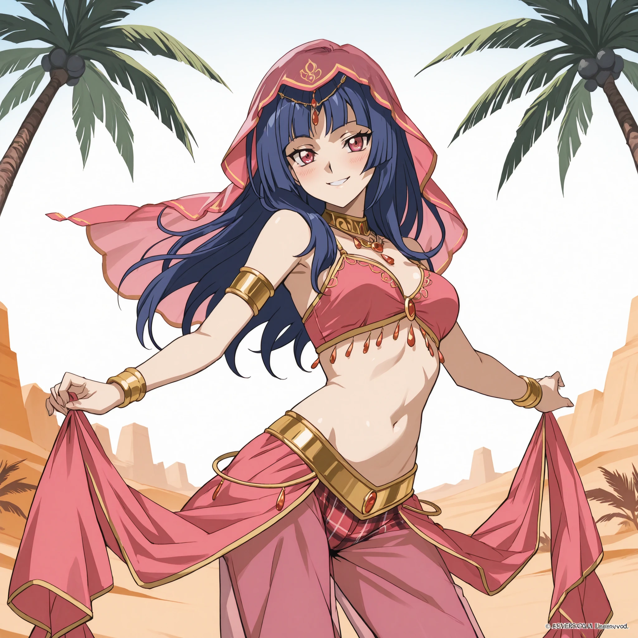 1girl:1 . 5) , (Seul:1 . 5) , score_9 , score_8_haut , score_7_haut , source_anime , Official work , ultra-detailed , masterpiece , best quality plaid shorts , high res , beaux yeux , detailed eyes , Detailed Face , beautiful detailed eyes ,Cardfight Vanguard, Asaka Narumi , Arabian Clothes , Arabian Dancer ,belly dancer costume , veil , golden jewelery,harem outfit, harem skirt, harem pants, Transparent pants, belly dancing, harem veil , desert landscapse, palm tree , seductive smile, dancing with veil, dynamic movement, sexy pose