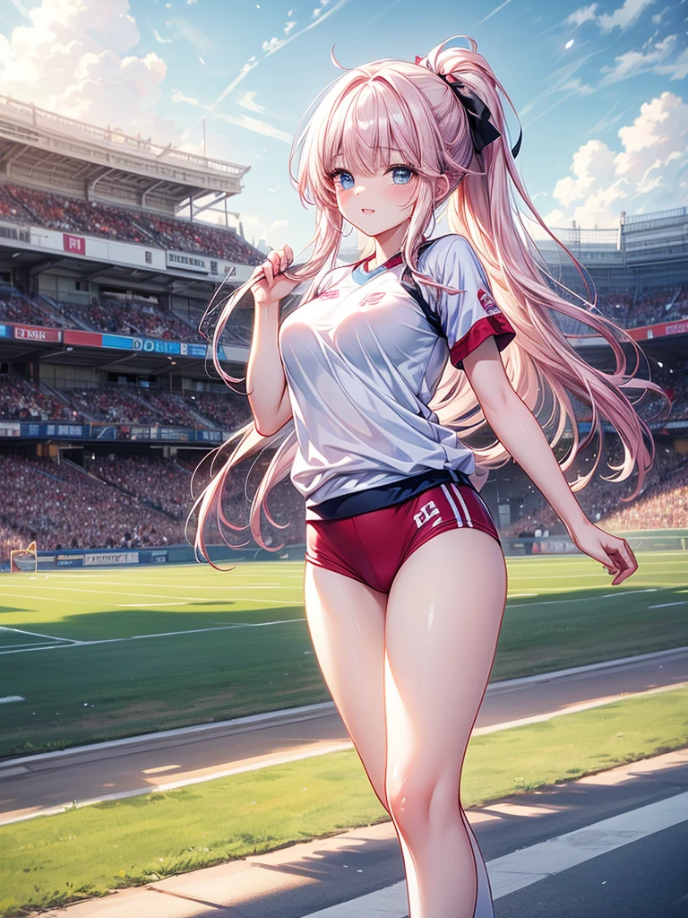 muste piece、masterpiece、highest quality、Super detailed、High resolution、8K portrait、High definition CG of Unity 8k wallpaper、cute type little:1.5、Lori:1.5、Highly detailed CG unity 8k wallpaper、Realistic、real person、 portrait photography、shiny skin、High definition、(16 years old:1.2)、(1 girl)、beautiful clear eyes、extremely detailed description、delicate face、nice lips、slender body、(thin waist)、thin legs、(Atlantic stadium track:1.6)、1 girl, cute type, perfect face, seriously, (blush:1.5),(pink hair twintails:1.3),(flat chest:1.4),((short sleeve gym clothes:1.2)),((clothing lift:1.5)), ((half nude:1.3)),((climax in vagina:1.5)),(looking at view:1.2),(from front:1.2),gran,leaning forward:1.2)