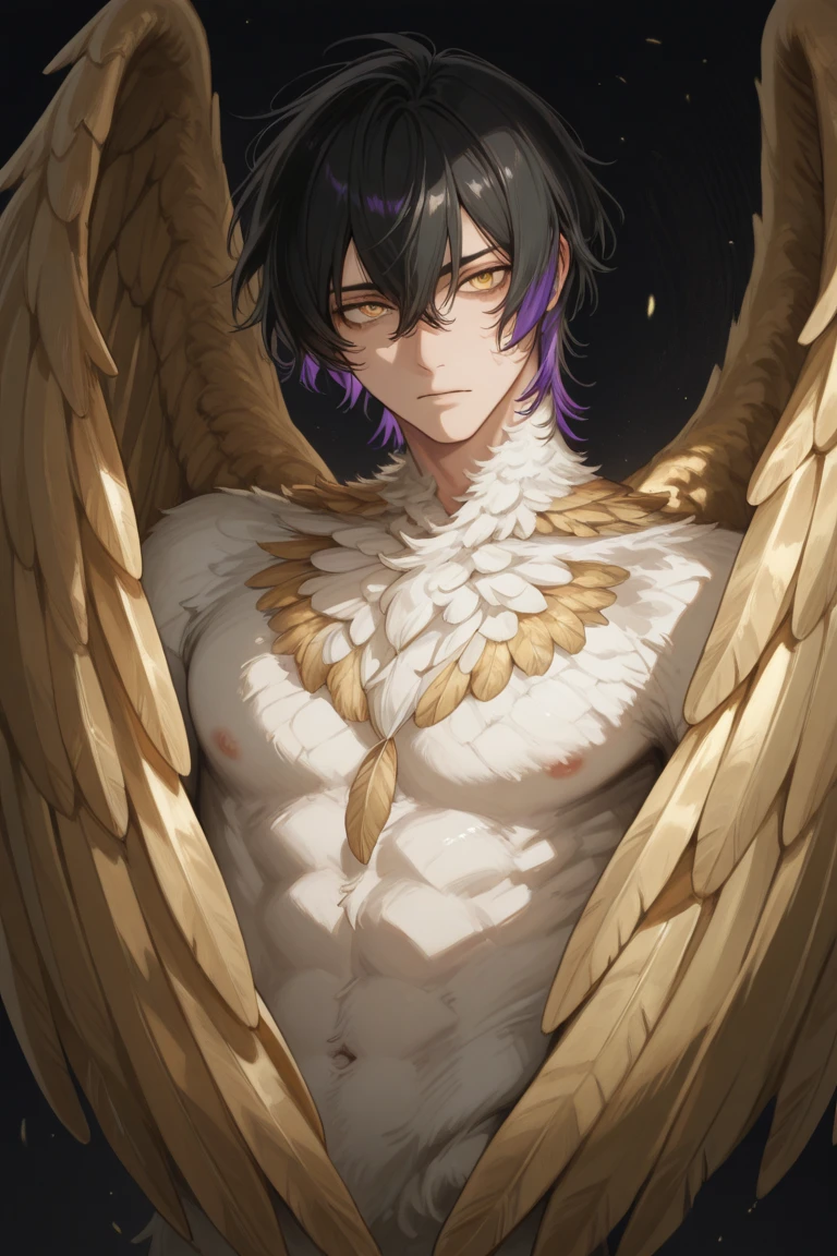 (masterpiece:1.2, best quality), 1youngman, solo, black long hair, yellow eyes, star shaped iris, ((chubby:1.2, stocky:1.1)), fair skin, elegant, soft esthetic, gentle eyes, drooping black fox ears, black wings on his back, long lion black tail, bottom body nude, black pubic hair, pussy lips
