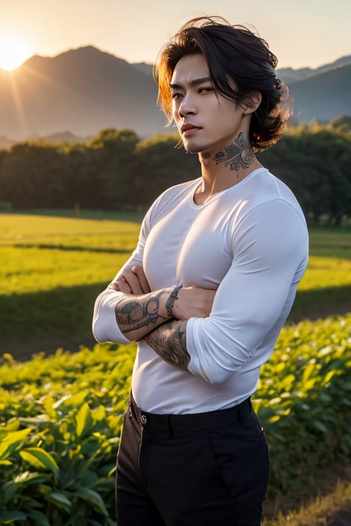 Hairy, muscular Japanese man