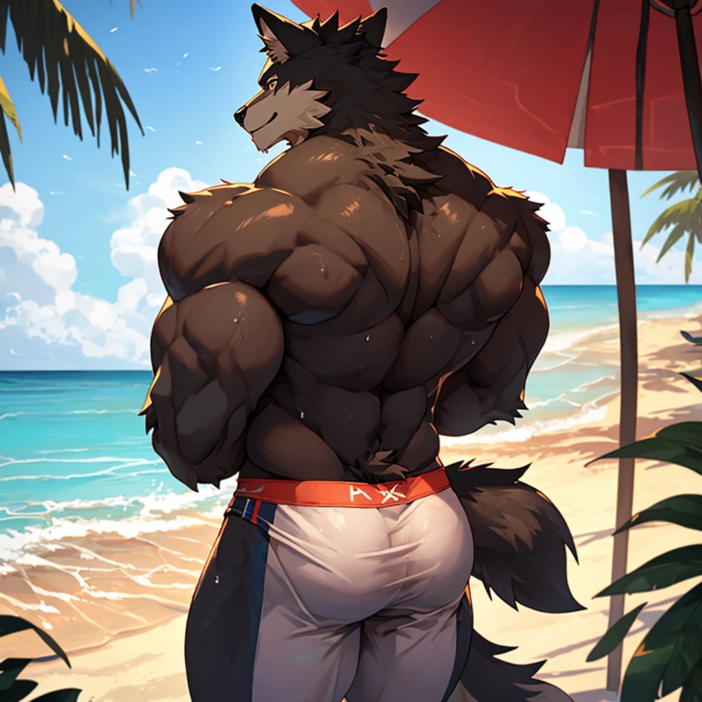 (male), solo standing (by honovy, by darkgem, by narse, by tojo the thief), (master splinter:1.2), fur, rat, quality eyes, naked, beach, thong underwear, anatomically correct, fluffy neck, (smile),rear view ,looking at viewer