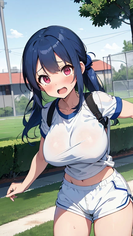 mastute piece,Best Quality,insanely detailed,8k cg,nsfw,
shoot upper body,(body in front:1.1),
1girl,standing,looking at viewer,Proudly、(upright:1.3),(school gymwear),
break,blush,shy,(trembling:1.2),break,(Blue Hair),(large breasts),Short:1.2、(open mouth:0.9),(outdoor sports field),