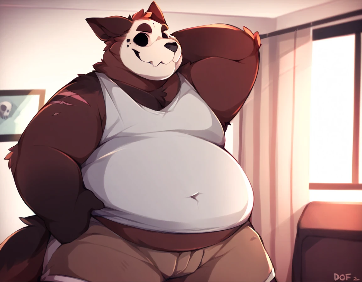 Gray puppy,Sitting in the bedroom,Spread your legs,Leaning on the bed,cute,overweight