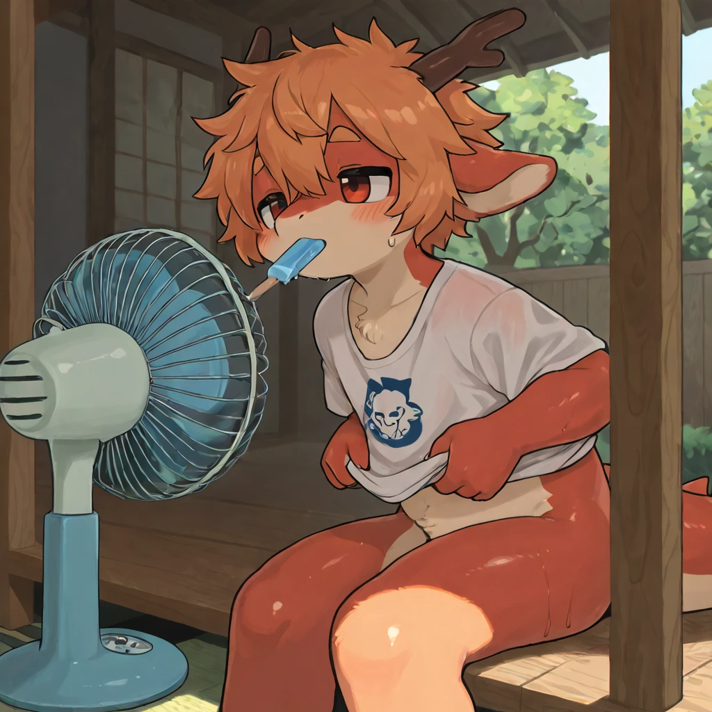 Furry、Lizard Boy and Dog Boy、sex（YAOI）、hostel、On the futon、Japanese style、Mouth gag、Hands tied、rape、(((Intense ejaculation)))