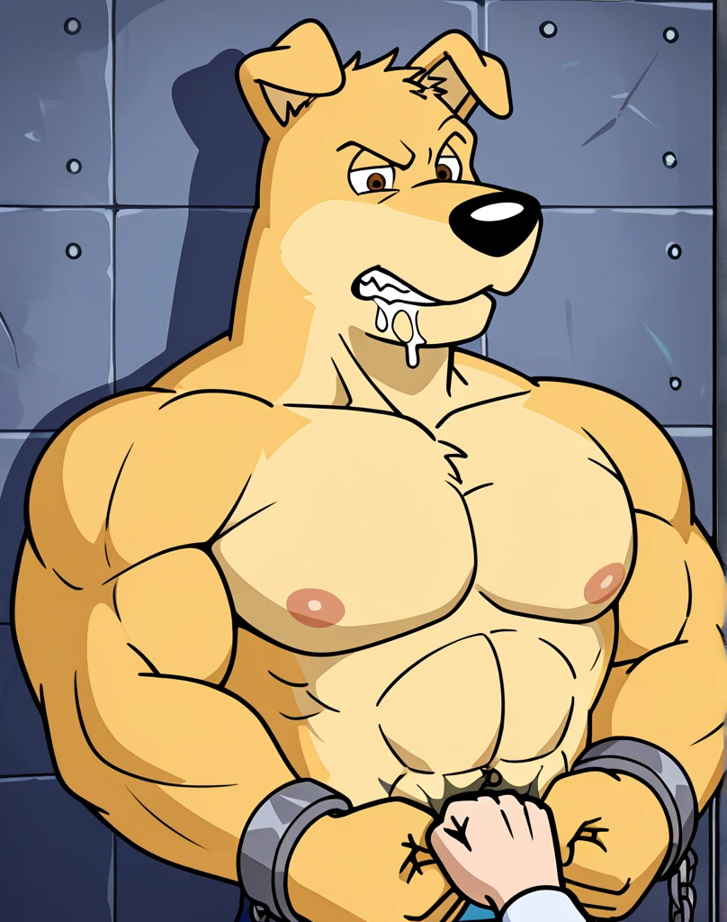 solo male, by kihu, masterpiece, high quality, male brown wolf ,slim athletic, hairy, pubic hair, yellow eyes, standing, correct ???????, big pecs, necklace, on dormitory, (white, tight casual clothing:1.5), (sheath, big balls, big knotted penis:1.3), (hands holding big knotted penis:1.3),dynamic view, dynamic pose, hairy armpit, half body view, close up view, (short pants, pants down:1.3), cum, close up knotted penis view, cum dripping