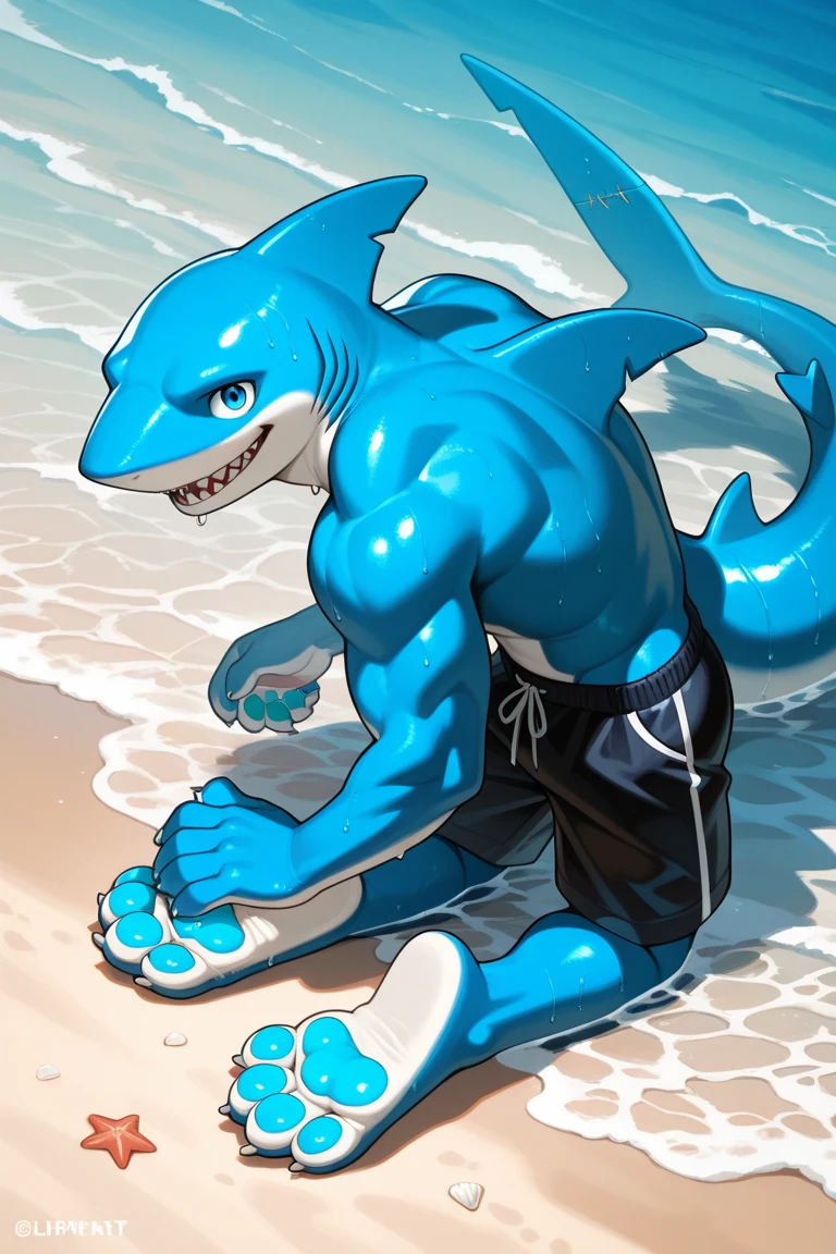 Male hybrid shark cartoon