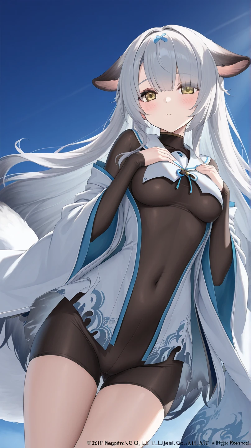 (shylily/(Twich/):1.5),(masterpiece:1.2),(best quality:1.2),Fox ears、Beautiful woman,Have a perfect body:1.4、Thin belly:1.2、((Layered Hairstyle、:1.2))、(No)、Wet body:1.1、Highly detailed face and skin texture、 Delicate eyes、Double eyelids、White skin、Sexy、、taken from below、From the angle from below、skin exposure