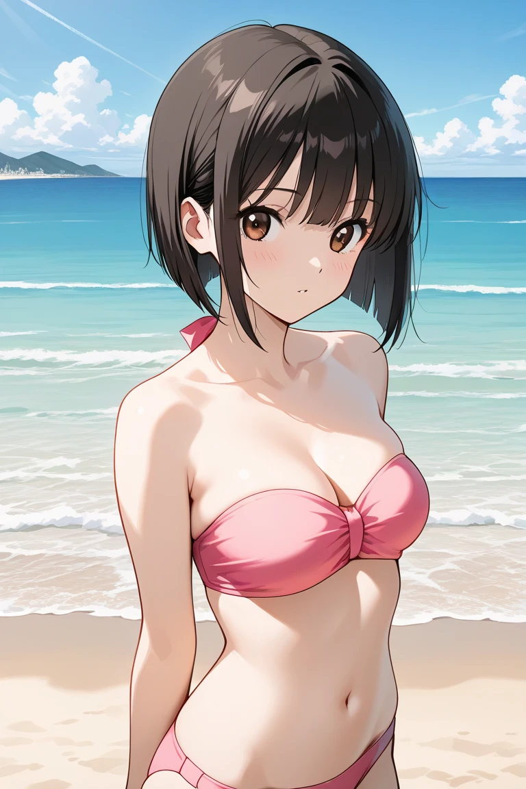 NSFW、Transparent